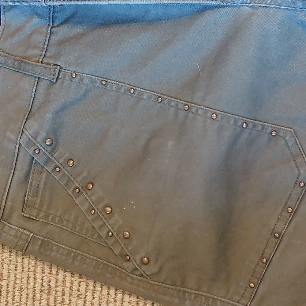 Democracy Pants - Picture 2 of 7